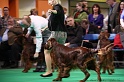 Crufts2011 590